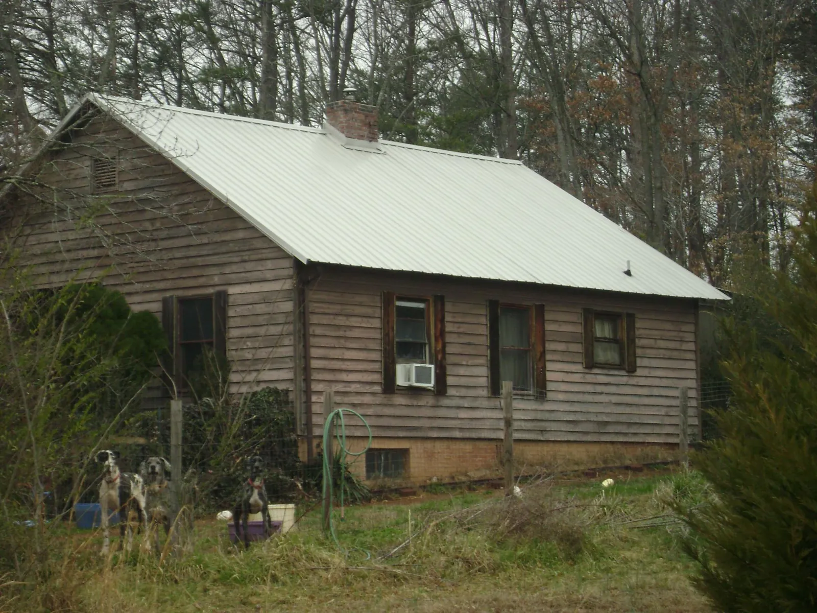 White metal roof on an old wood sided farmhouse, from a Asphalt Shingle Roof Repair job in Issaquah